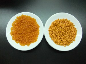 牛樟芝子實體滴丸呈橘黃本色